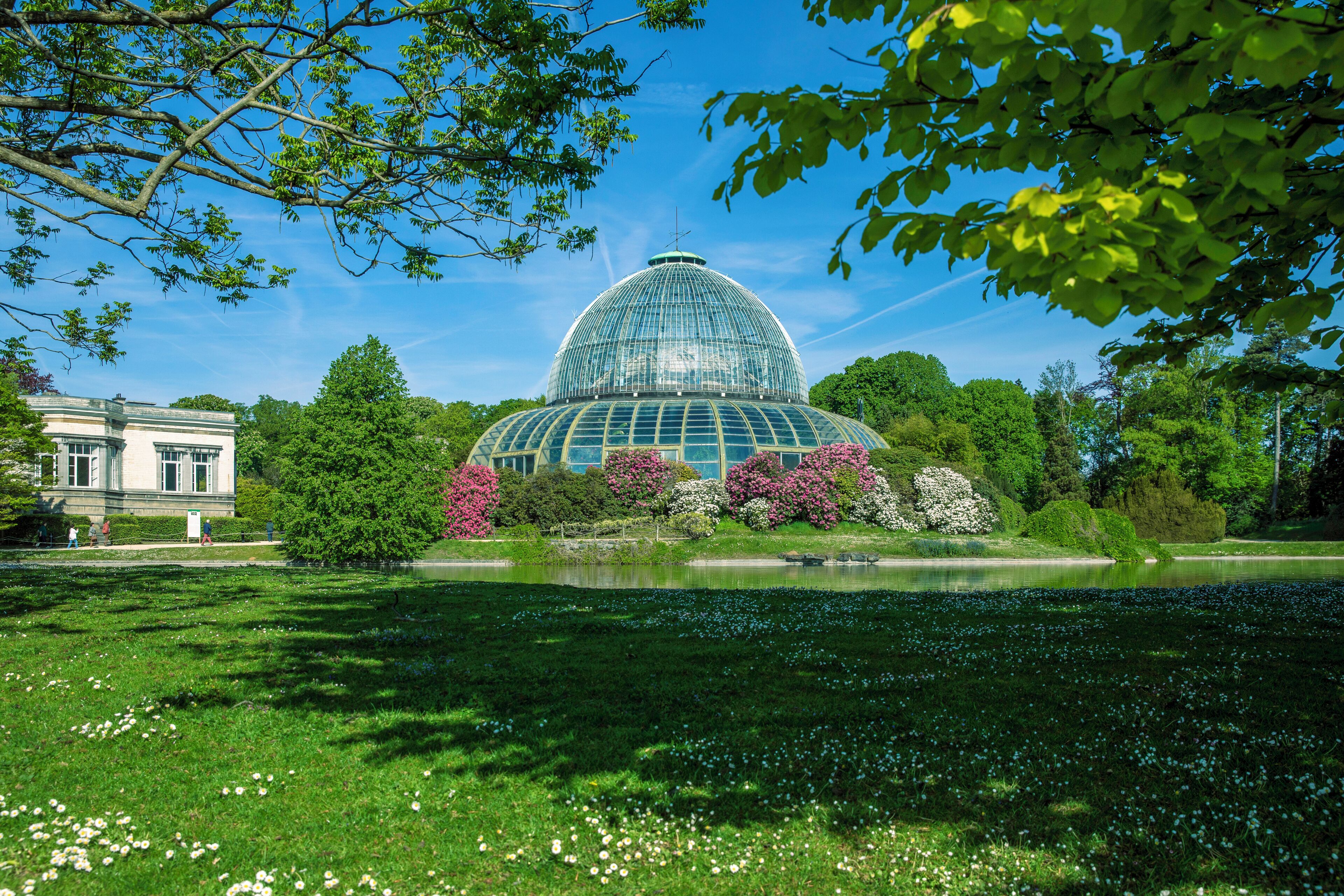 Photo - Hilton Garden Inn Brussels Airport