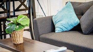 A living room with a grey sofa, a blue pillow, a remote control, and a woven basket with a green plant. - Southwest‑Inspired Summer Place | Near UofA (Tucson)