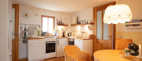 Fridge, oven, stovetop, dishwasher