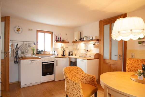 Kühlschrank, Ofen, Herdplatte, Geschirrspüler