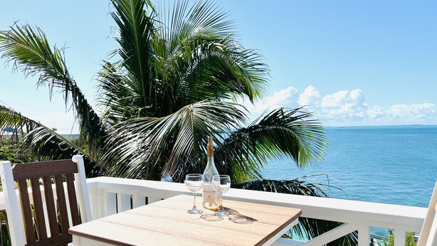 A wooden deck with a table and chairs overlooking a body of water, with palm trees in the background.