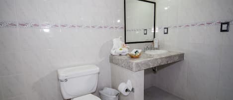 Un baño con inodoro, lavamanos y espejo.