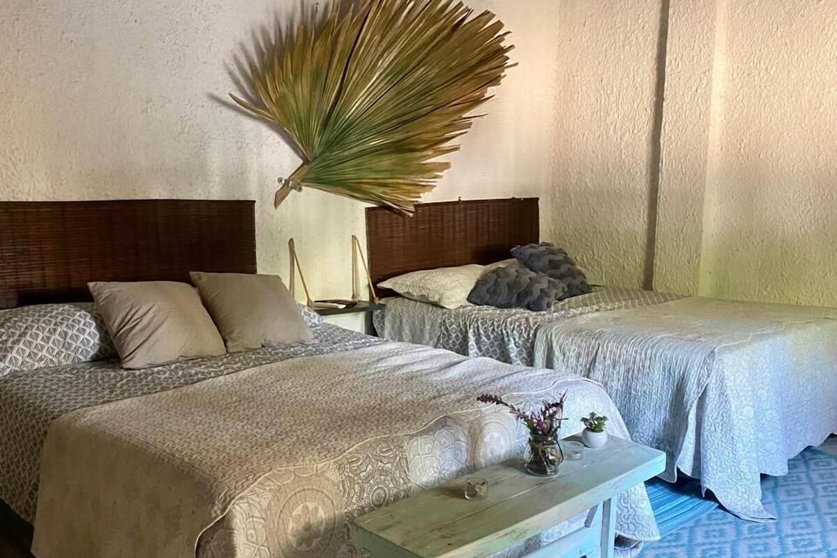 Ein Schlafzimmer mit zwei Betten, einem Nachttisch, einem kleinen Tisch und einer Zimmerpflanze.