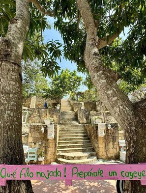 A staircase surrounded by trees, leading to a higher level. - villa mohana (Puerto Colombia)