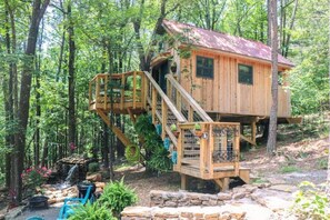 Exterior - The Farm Treehouse (Edgemont)