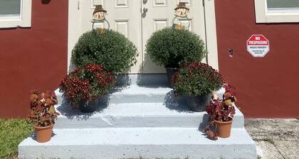 Chris & Tish Cozy Apartments -1 bedroom with queen size bed.