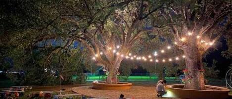 Parco della struttura