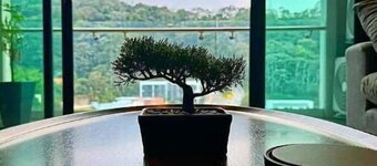 Penthouse-Style Spacious 2bd 2bth in Luxury Park Tower Condo - Nuevo Cuscatlan