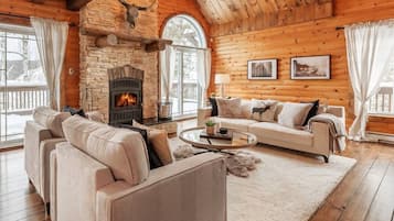 Télévision, cheminée, chaßne hi-fi