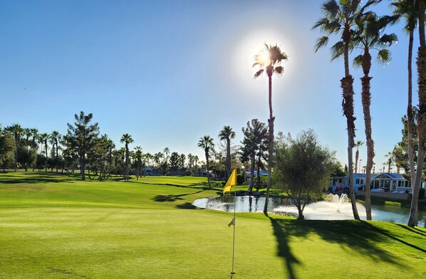 Golf - Desert Skies Retreat - Your Home Away From Home! (Casa Grande)