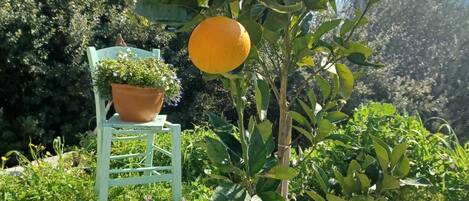 Overnatningsstedets område