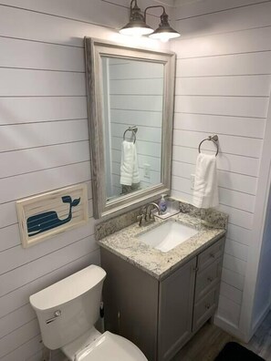 Shower, hair dryer