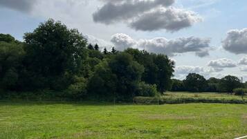 A grassy field with a fence and trees in the background.
