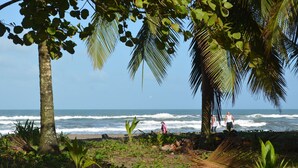 A beach with palm trees, ocean waves, and a clear sky. - Hotel Pura Natura Beachfront Tortuguero (Colorado)
