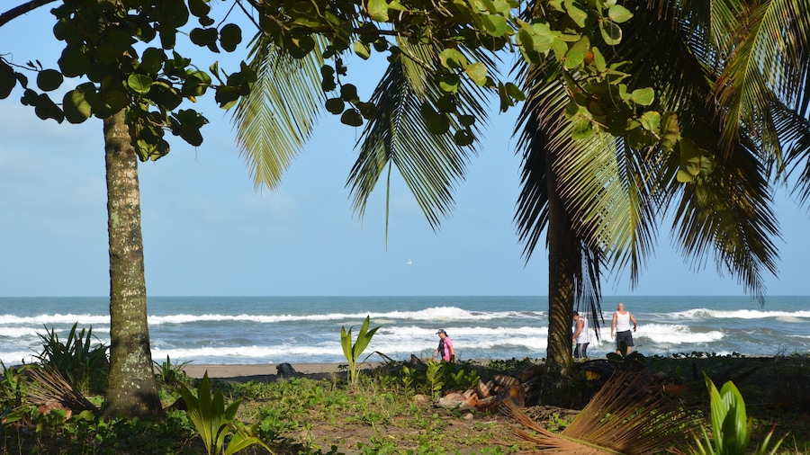 Hotel Pura Natura Beachfront Tortuguero