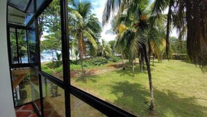 A view from a window with a glass railing, overlooking a grassy area with palm trees and a clear sky. - Hotel Pura Natura Beachfront Tortuguero (Colorado)
