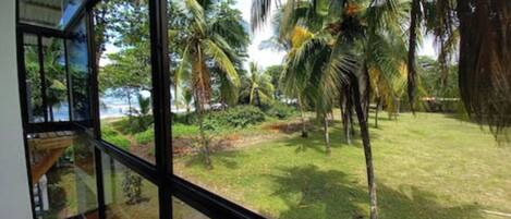 A view from a window with a glass railing, overlooking a grassy area with palm trees and a clear sky.