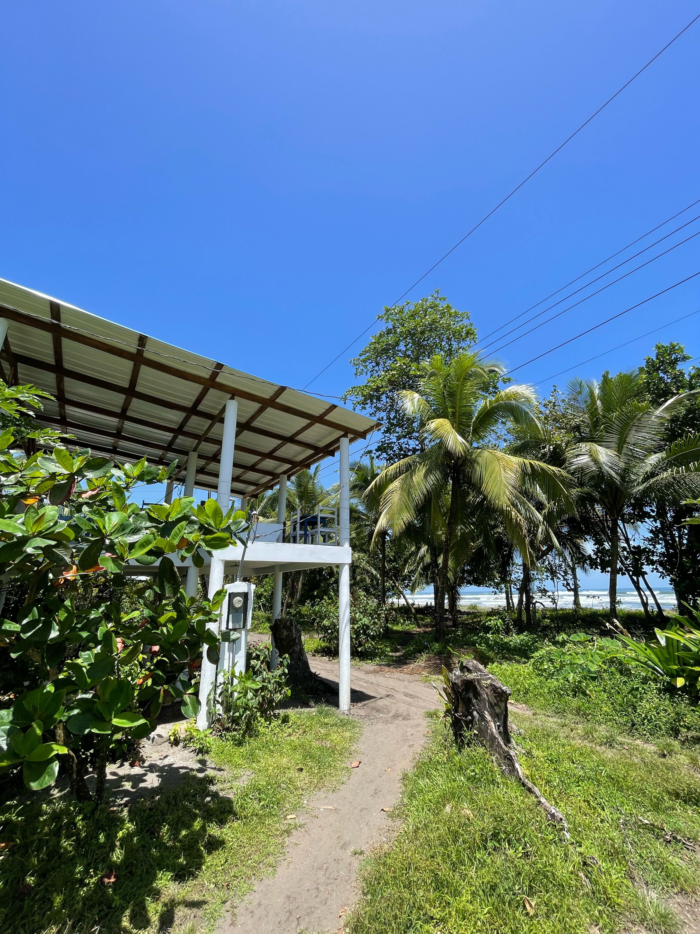 Foto - Hotel Pura Natura
