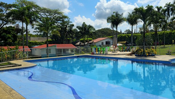 Una piscina con borde de azulejos azules, rodeada por una valla blanca y palmeras.