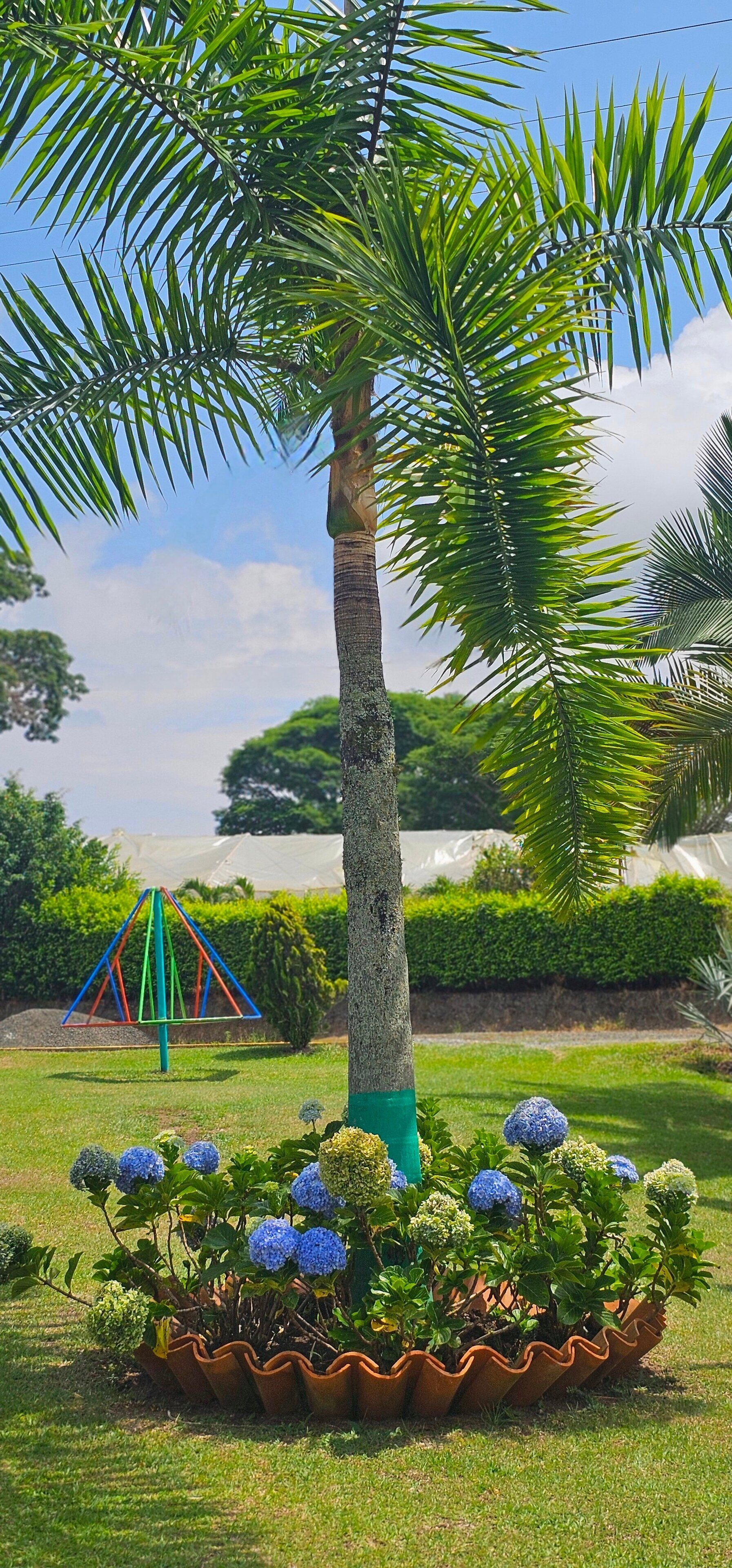 Foto - Cabañas Cafeteras Cerritos