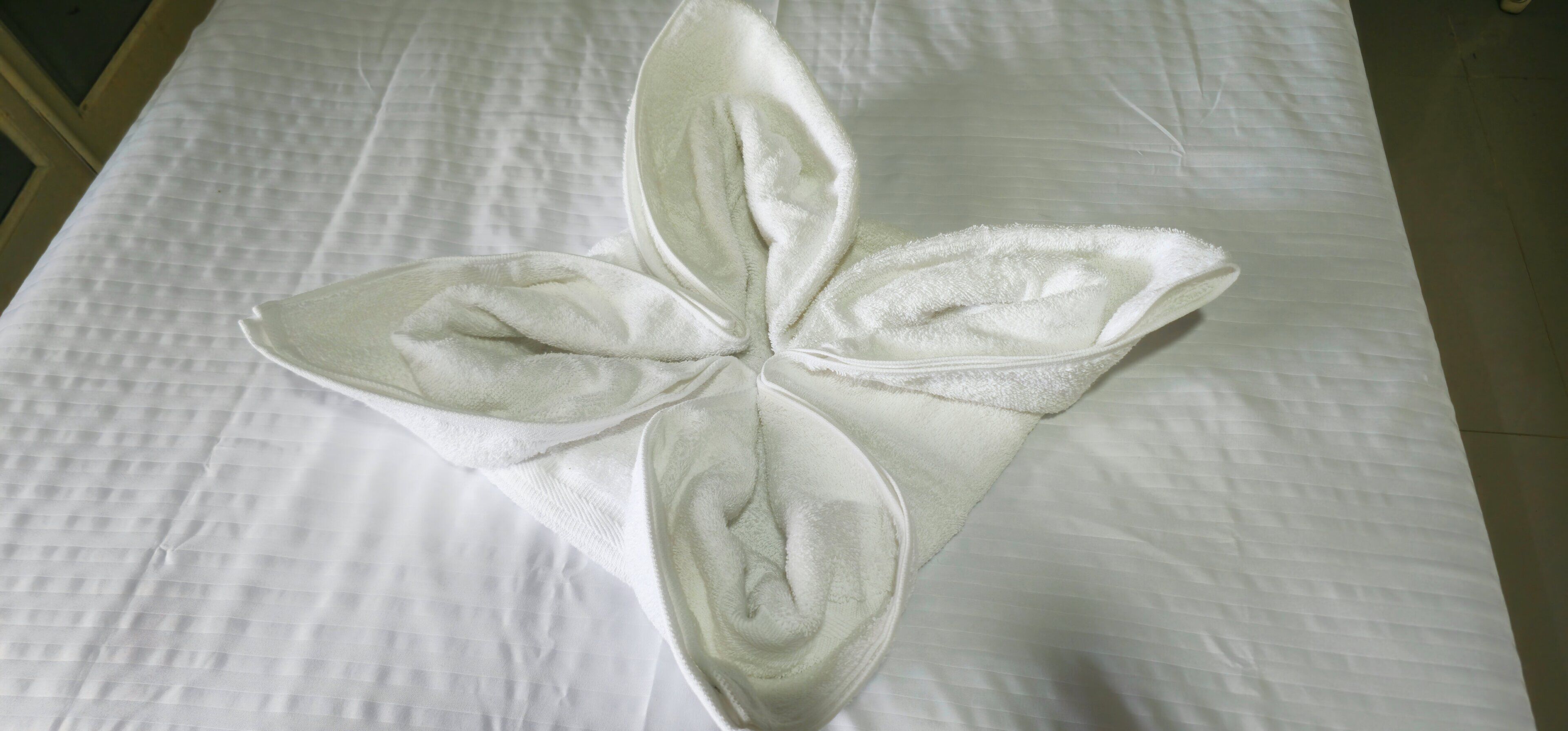 Foto - Cabañas Cafeteras Cerritos