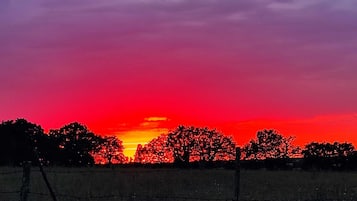 2 bedrooms, internet