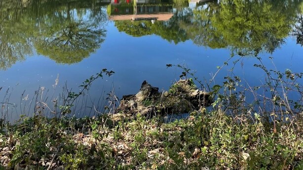 A house with a red roof and white walls, surrounded by trees and a pond reflecting the structure. - Gîte au Bord de l' eau Proche du Puy du Fou et du Parc Oriental de Maulévrier ! (Maulevrier)