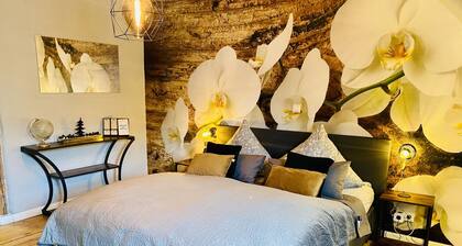 65qm Deluxe Apartment mit Whirlpool SaarbrĂŒcken Uni