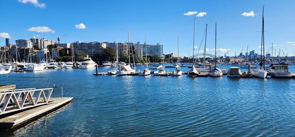 Marina