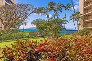 Property grounds - Valley Isle Resort #101 - Vacation West Maui - New AC & Floors (Lahaina)