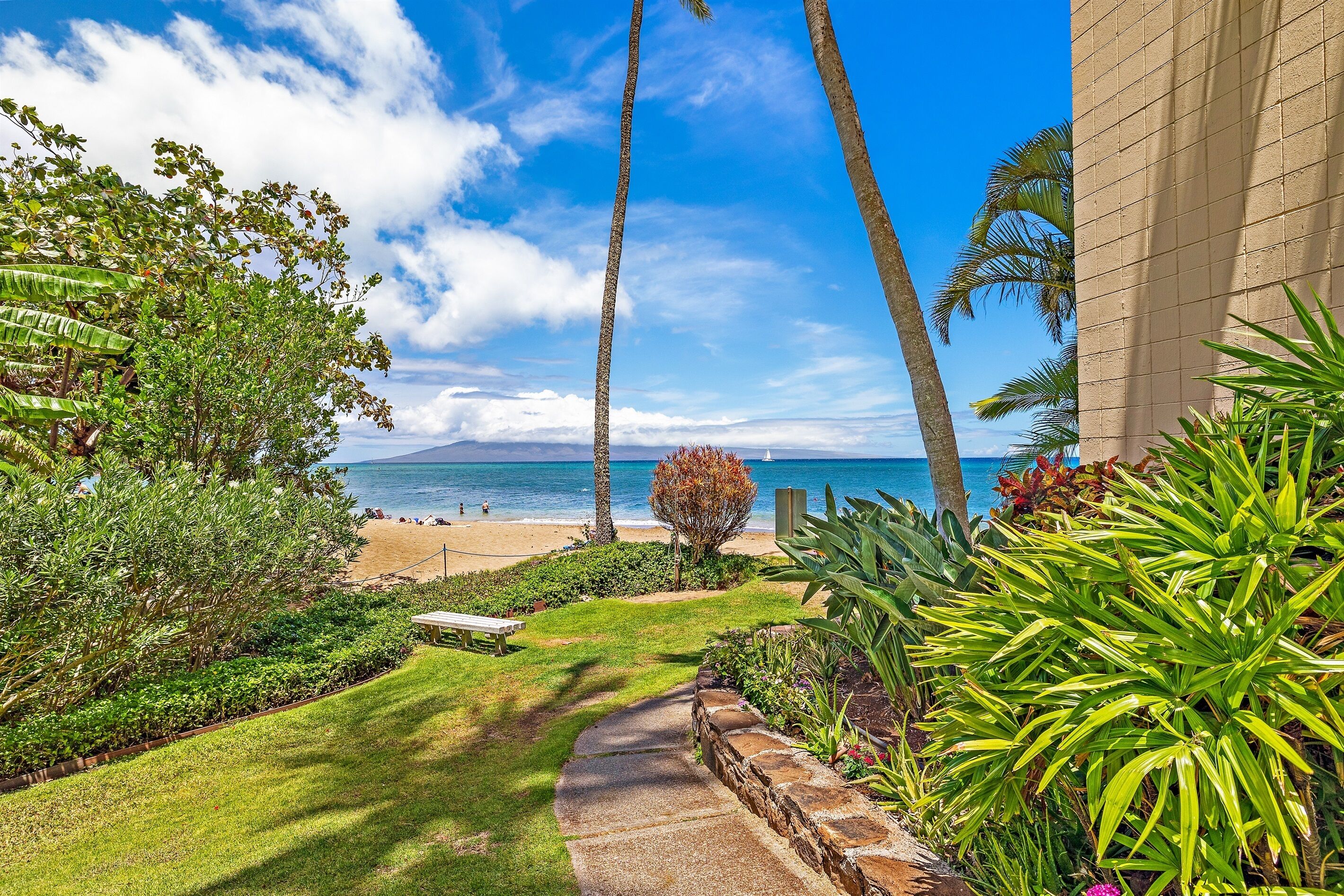 A pathway leading to a beach with palm trees and a clear view of the ocean.