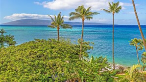 Una playa tropical con aguas turquesas cristalinas, palmeras y abundante vegetación.
