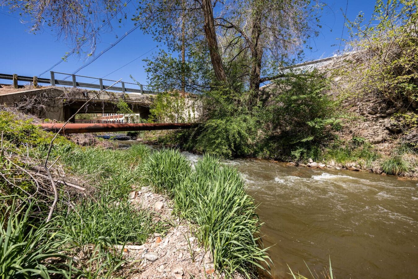 A river flowing under a bridge with greenery on both sides.