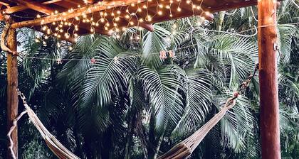 Ocean view Casa Conchal tropical setting surrounded by wildlife 4 min to beach