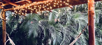 Ocean view Casa Conchal tropical setting surrounded by wildlife 4 min to beach