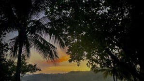 Escena de playa con palmeras, olas y un atardecer.