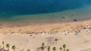 A beach with clear blue water, sandy shore, and palm trees.