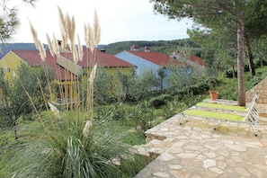 Terassi/patio