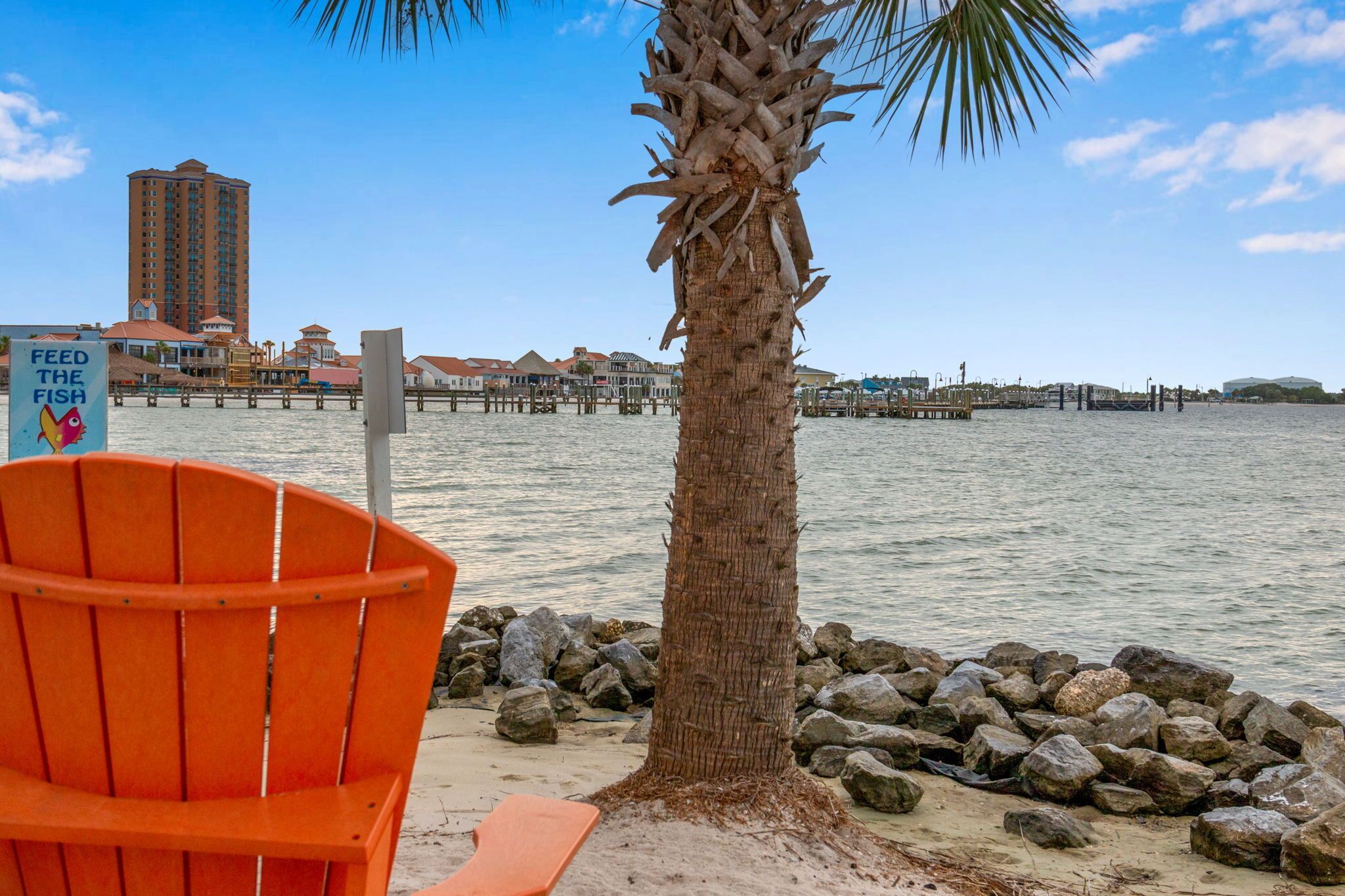 A beachside view with a palm tree, a wooden pier, and a sign that reads "FEED THE FISH".