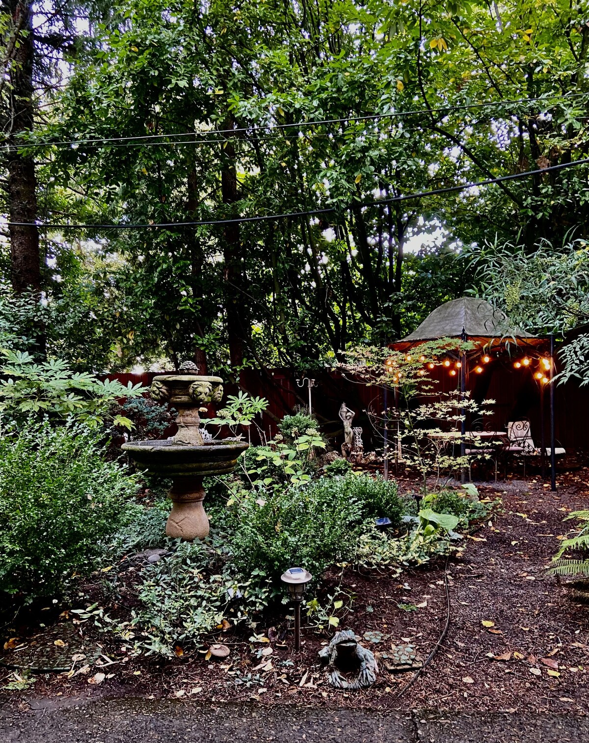 オーナーのプロフィール画像