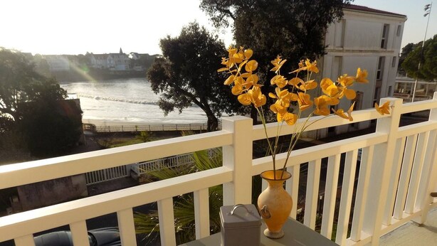 Un balcon avec une table, un vase rempli de fleurs jaunes et une boîte étiquetée « BISCUITS ».