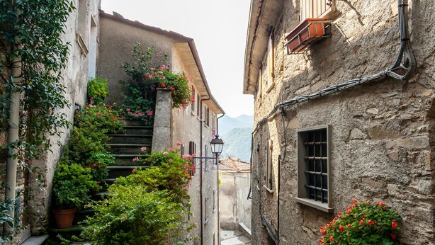 Une rue étroite bordée d’immeubles en pierre, avec un escalier et des plantes en pot.