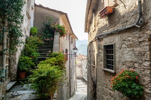 Une rue étroite bordée d’immeubles en pierre, avec un escalier et des plantes en pot.