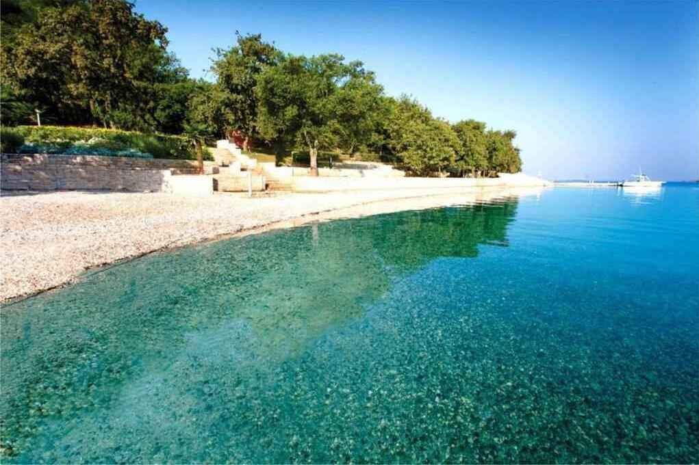 بالقرب من الشاطئ