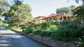 Traditional homes line a serene garden with lush greenery and well-manicured plants.