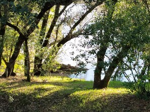 Property grounds - Exceptional Estate Vineyards in Healdsburg Sonoma County (Healdsburg)