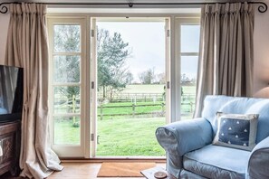 TV, fireplace, books