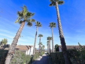Stroll through the tranquil gardens, lined with palm trees and neatly trimmed hedges, to the traditional building with a tiled roof.