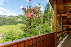 Property grounds - Casa Fagher (Falcade)