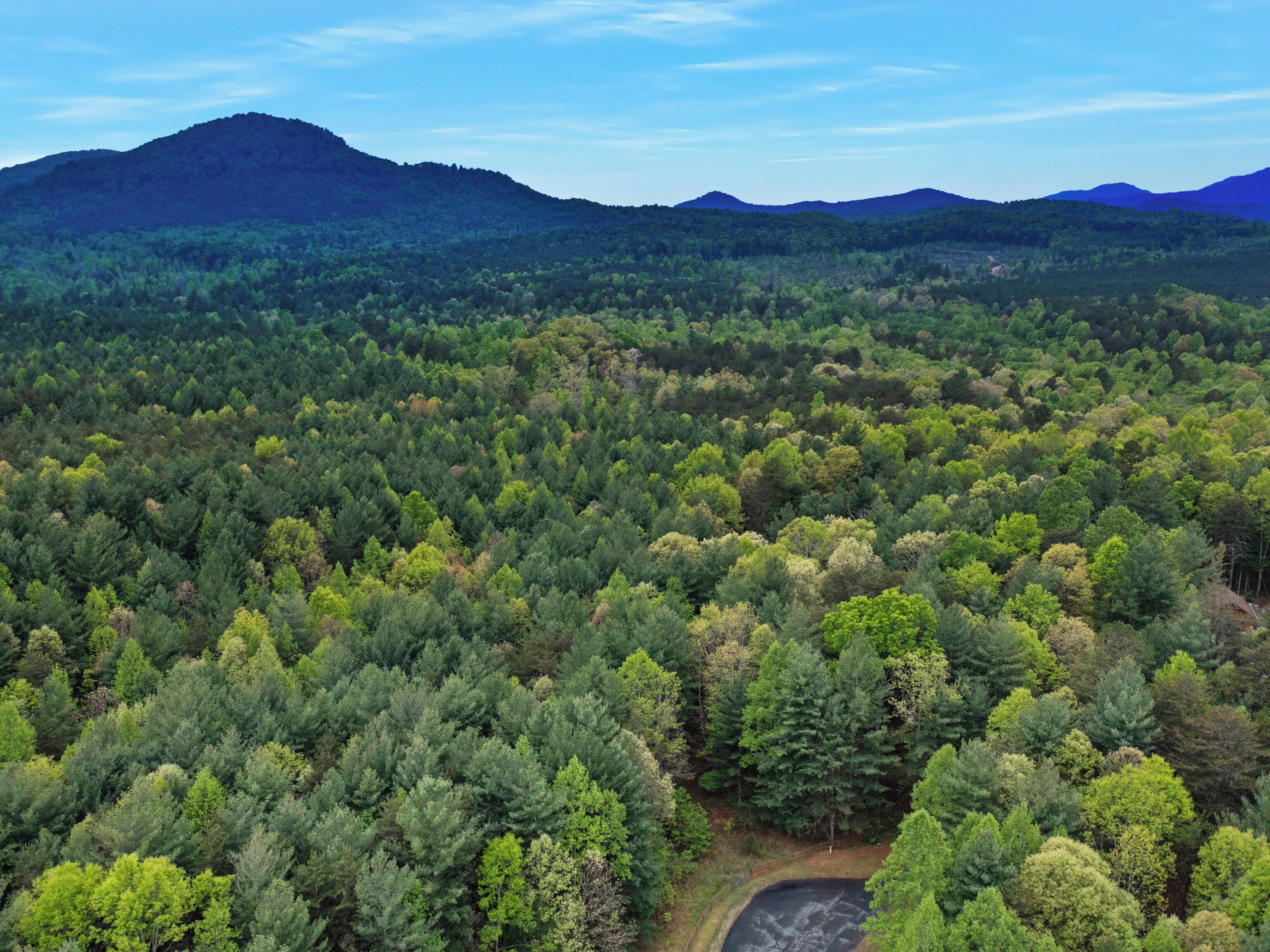 Vue aérienne d’une forêt dense, avec une montagne en arrière-plan.
